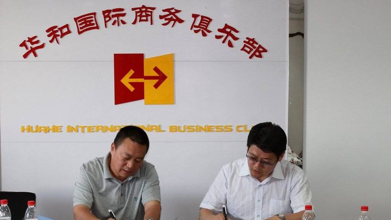 医疗健康战略咨询：解码企业可持续发展之路